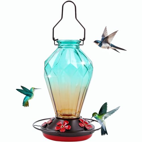 Glass Hummingbird Feeder 25Oz Deal