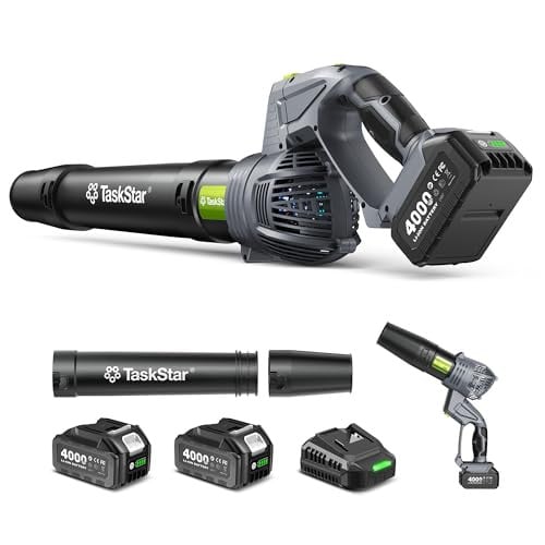 Taskstar Cordless Leaf Blower Set Deal
