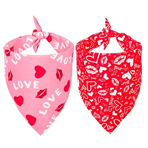 Valentine Dog Bandanas 2-Pack