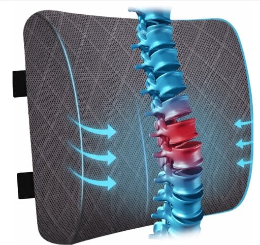 Lumbar Pillow Deal