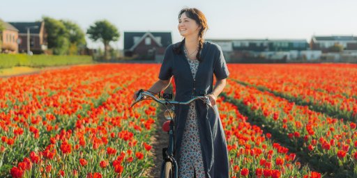 8-Day Holland & Belgium Springtime River Cruise, Amsterdam to Brussels