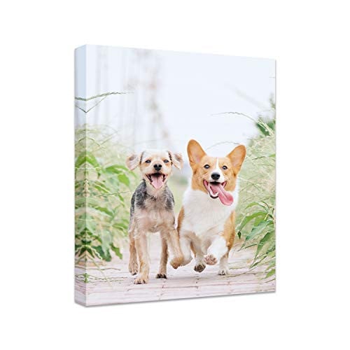 Custom Photo Canvas Prints Deal
