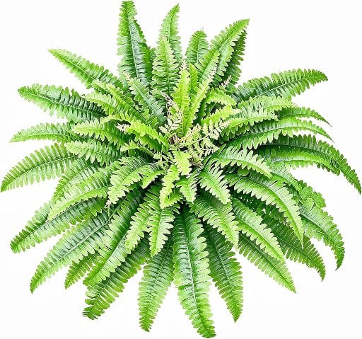 Fake Ferns Artificial Plants Large 45" Deal
