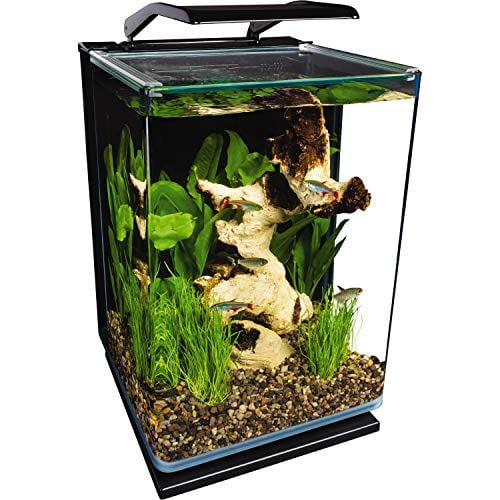 Marineland Portrait Glass LED Aquarium Kit, 5 Gallons