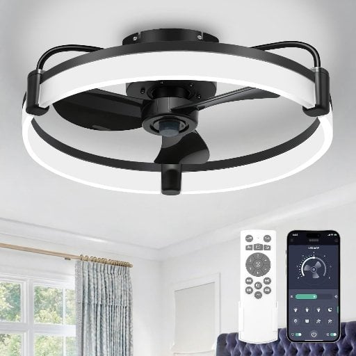 20'' Ceiling Fan with Lights Deal