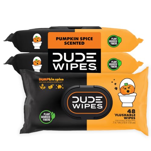 Dumpkin Spice DUDE Wipes Flushable Wipes, Pumpkin Scented, 144 Count