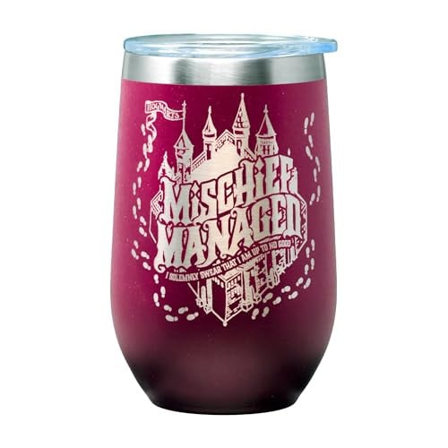 Spoontiques Mischief Managed Stainless Steel Tumbler Deal