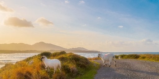 See Ireland by Train: 3 Cities, 6 Nights