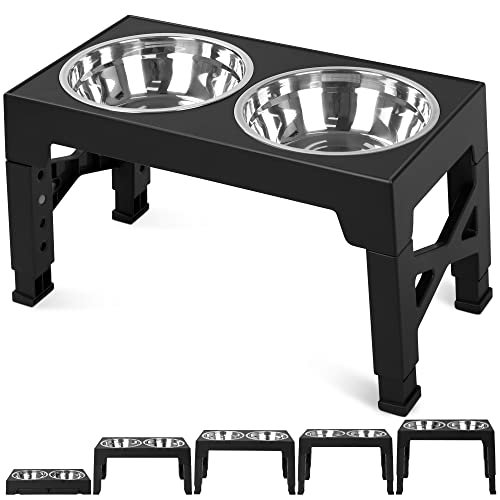 Elevated Dog Bowls with 2 Stainless Steel Dog Food Bowls