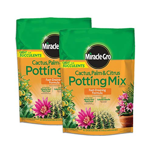 Miracle-Gro Cactus, Palm and Citrus Potting Mix 2-Pack 8-Qt