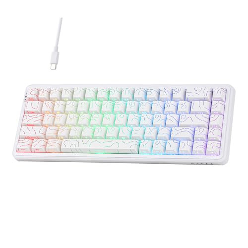 MechLands AK680 MAX Wired Gaming Keyboard with Hall Effect Switch