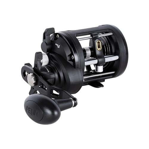 PENN Rival II Level Wind Conventional Fishing Reel Size 30 Line Counter Deal