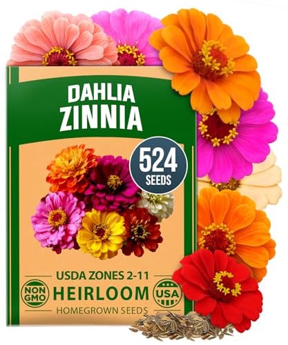 HOME GROWN Zinnia Dahlia Seeds 524 Flower Seeds Deal