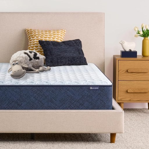 Serta Sleeptrue Firm 12" Queen Memory Foam Mattress in a Box