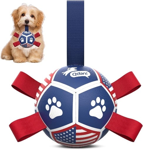 Flag Soccer Ball with Straps
