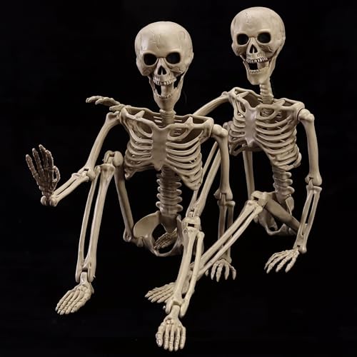 2-Pack 39.3" Full Body Realistic Posable Skeleton with Movable Joints, Unlighted