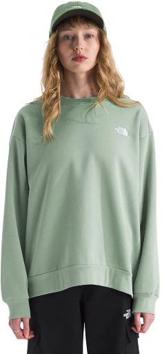 The North Face Evolution Simple Dome Oversized Crew (Slate Moss, Space) Deal