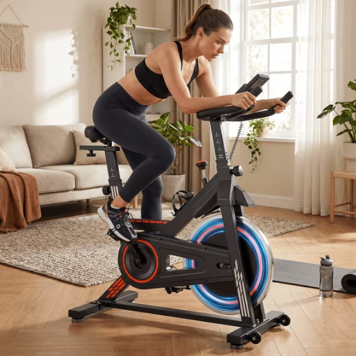 Naipo Indoor Cycling Exercise Bike 300lbs max Deal