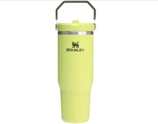 Stanley IceFlow 2.0 Flip Straw Tumbler with Handle 30 oz