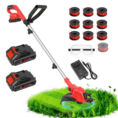 RAXONE 21V Electric Weed Wacker & Edger Lawn Tool