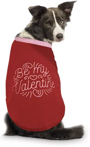 Woof Be My Valentine Pet Shirt