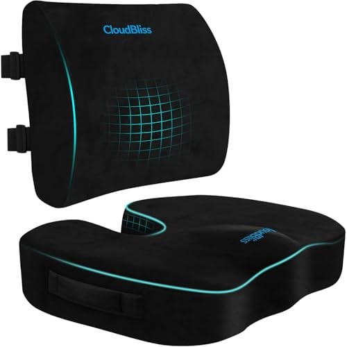 CloudBliss Seat Cushion & Lumbar Support Deal