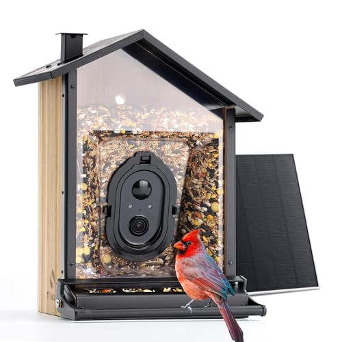 TT Nature Solar Smart Squirrel-Proof Bird Feeder with Camera
