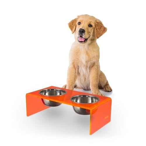 LICKER Store DBL2000E Keaton 5" Small/Medium Modern Acrylic Rectangular Elevated Pet Feeder with 20oz 2-Stainless Steel Bowls, Pink/Chrome