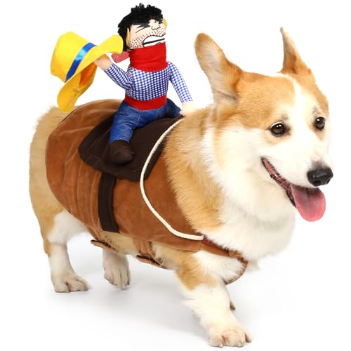 Cowboy Rider Dog Costume Deal
