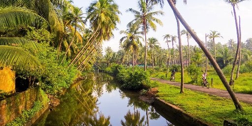 Southern India Guided Trip: Kerala & the Tropical South Deal
