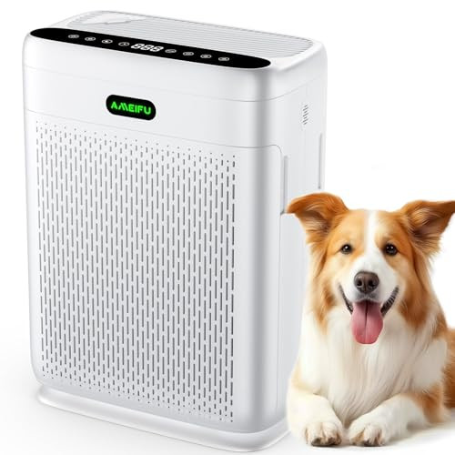 Air Purifiers for Home