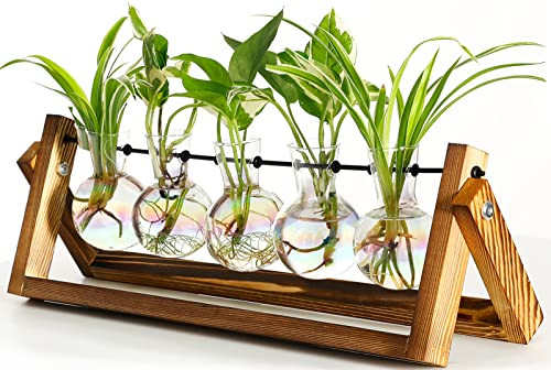 XXXFlower 5-Bulb Vase Plant Terrarium Planter w/ Wooden Stand