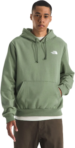 The North Face Men's Evolution Box NSE Hoodie (Bark Mist) Deal