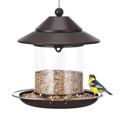 Hanging Small Metal Roof Bird Feeder with Clear Tube Seed, 2 lb Deal