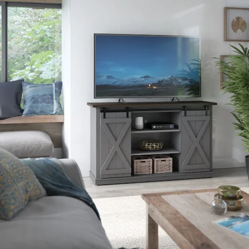Three Posts Lorraine 54" TV Stand w/ Sliding Barn Doors