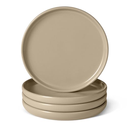 Amazon Basics Glazed Stoneware Salad Plates, 4-Piece 8.3 in. Ceramic Set, Linen Gray