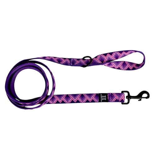 Hamilton 6 Foot Nylon Dog Leash 5/8 Inch Wide Deal