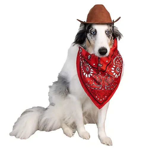 Tractor Supply Pet Costumes