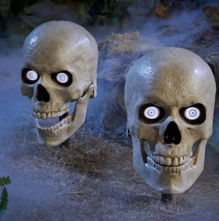 Home Accents Holiday LED Grave & Bones Skelly Skull