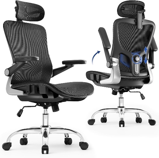 Ergonomic Office Chair w/ 3D Armrests and 3D Headrest