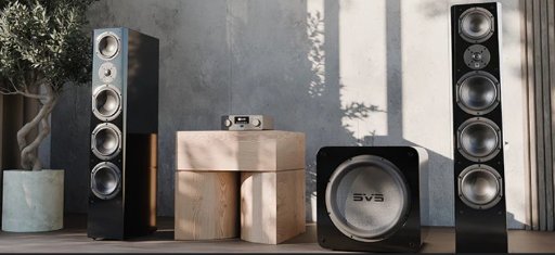 SVS Black Friday Sale