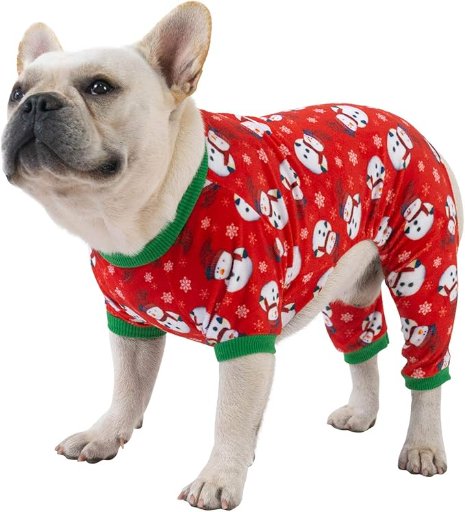 Cute Bone Dog Jammies