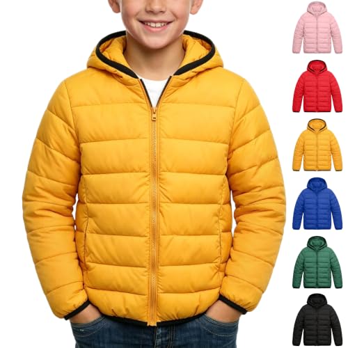 Lightweight Puffer Jacket with Hood Deal
