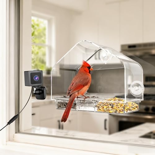 RichBird Smart Clear Window Bird Feeder w/ Camera & Suction Cups (Black) Deal