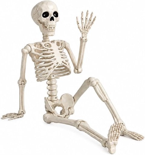 36" Posable Human Skeleton Decorations
