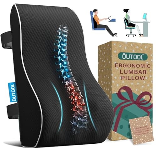 QUTOOL Lumbar Support Pillow