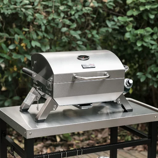 Royal Gourmet 2-Burner 10000 BTU Portable Liquid Propane Gas Grill Deal