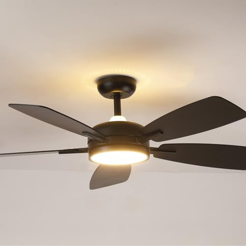 Roomratv 46" Ceiling Fan w/ Lights & Remote