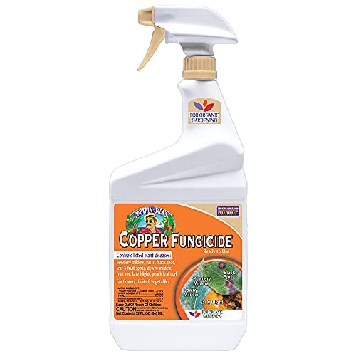 Bonide Captain Jack's Copper Fungicide Spray 32 oz Deal