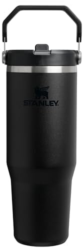 STANLEY IceFlow 2.0 Flip Straw Tumbler 30 oz Deal